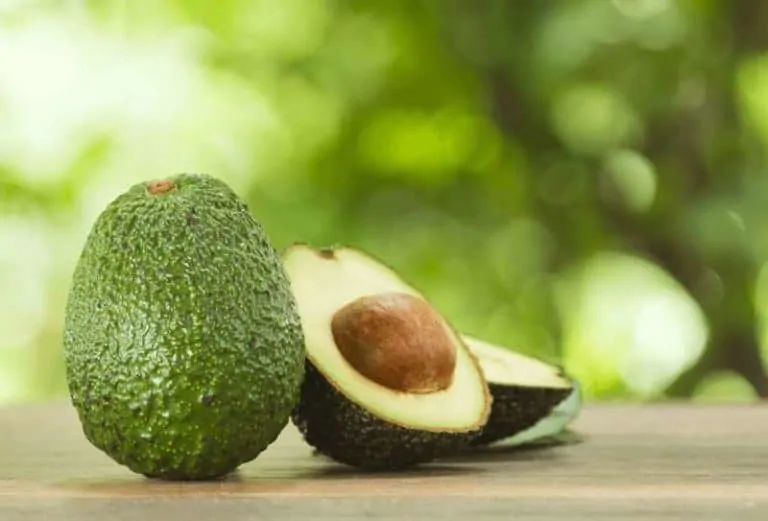 Ядката от авокадо е полезна за нашите очи!