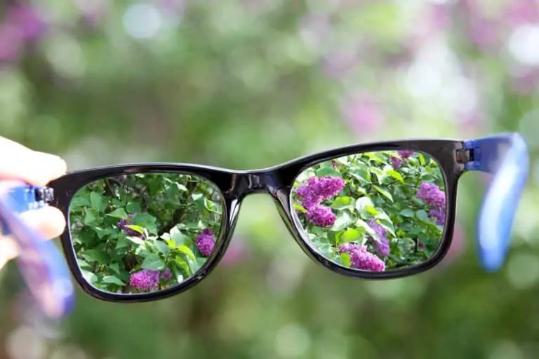 Замъгляване на зрението – сигнал ли е за очно заболяване?